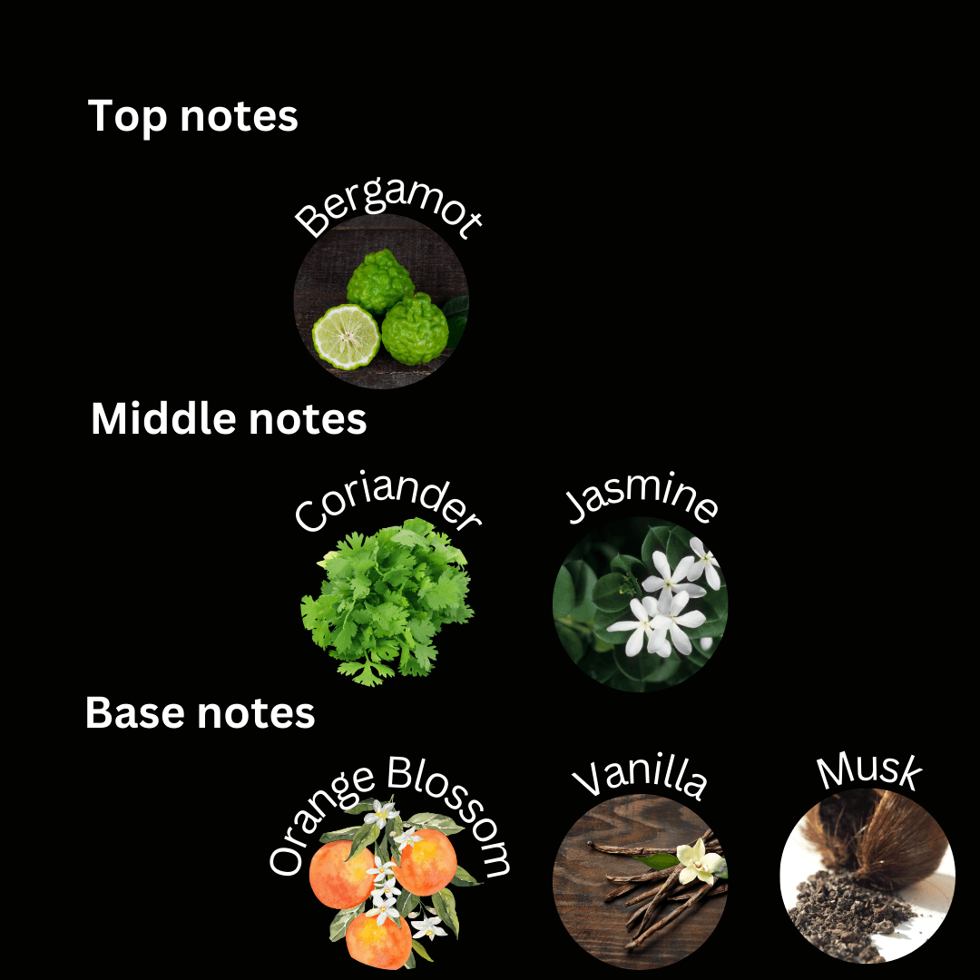 Amor - Esencia Perfume