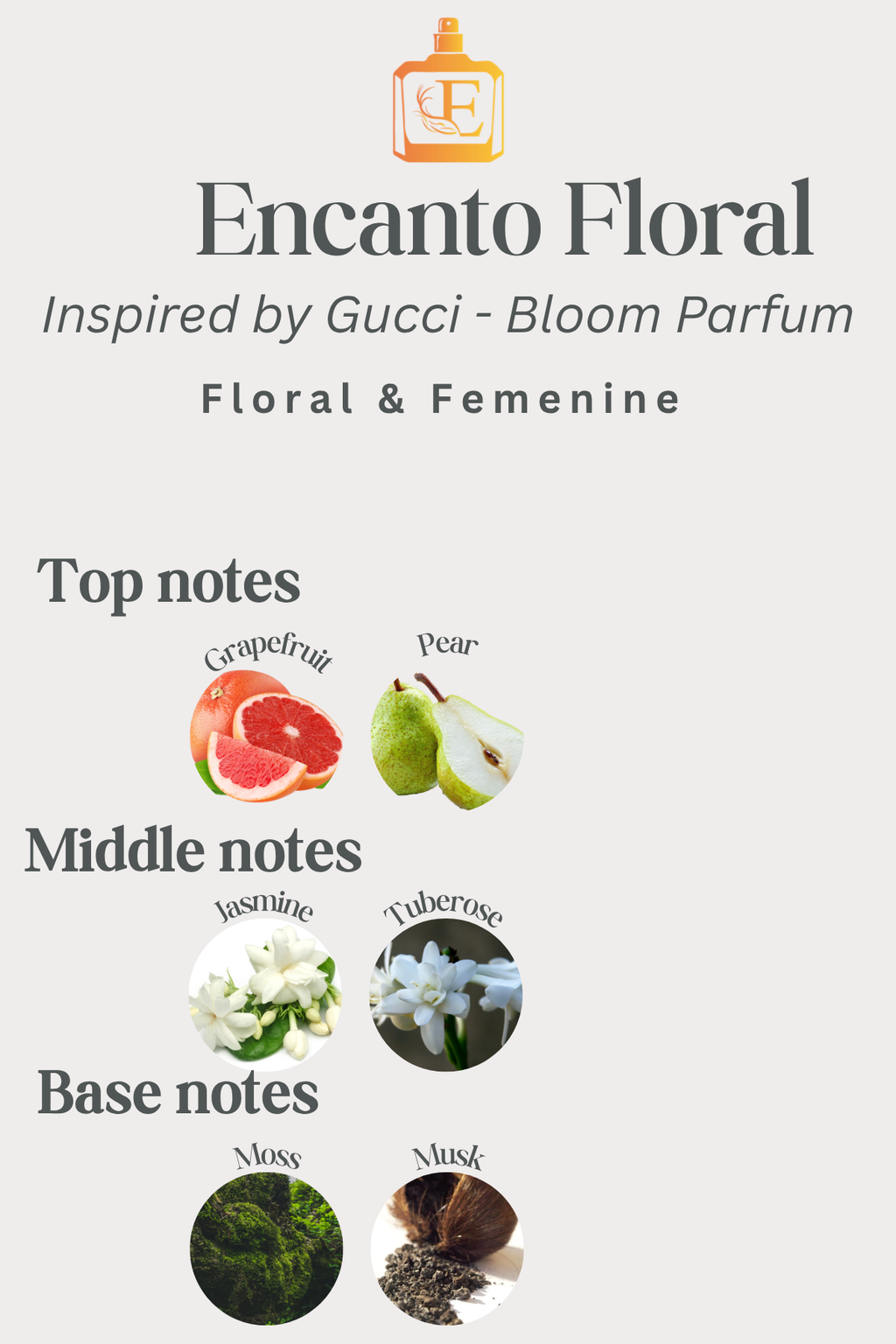 Encanto Floral
