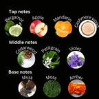 Meadow - Esencia Perfume