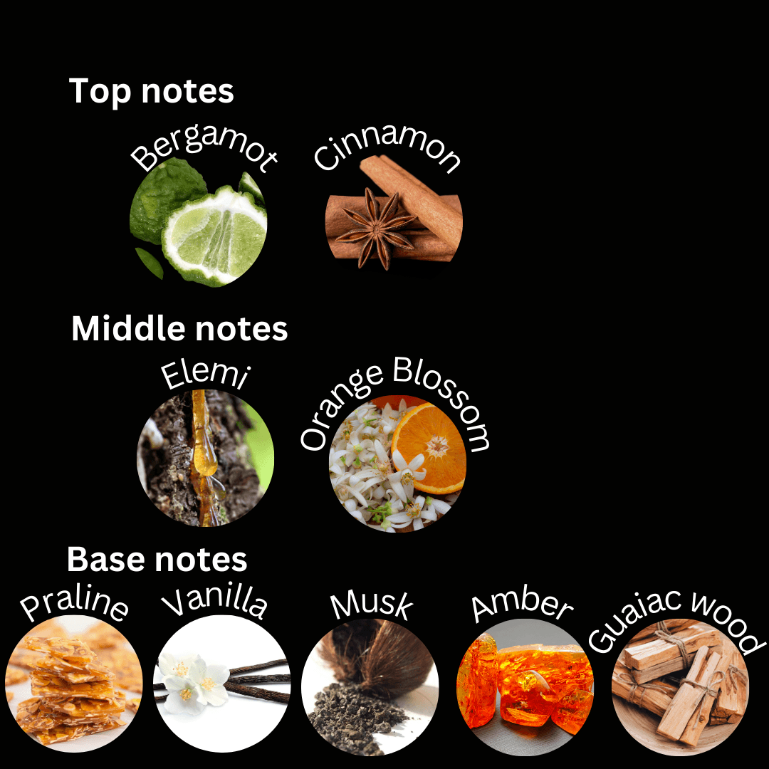 Silk Path - Esencia Perfume