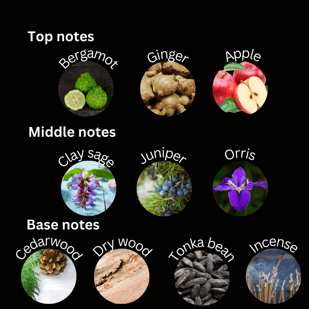 Sin Limites - Esencia Perfume