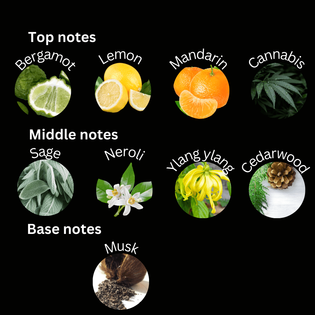 Wanderlust - Esencia Perfume