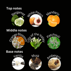 Aurora - Esencia Perfume